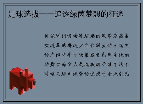 足球选拔——追逐绿茵梦想的征途